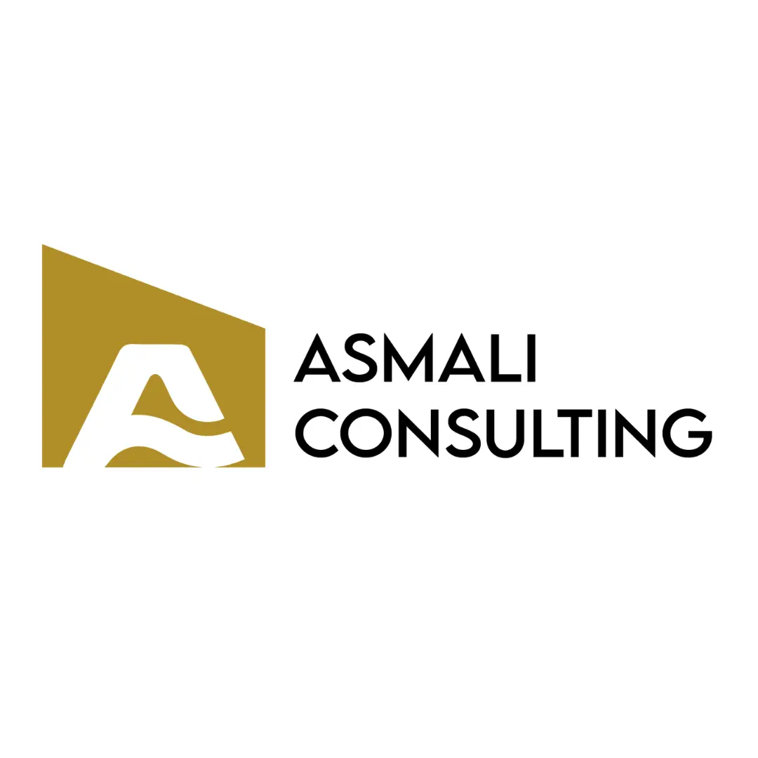 Asmli consulting Logo02